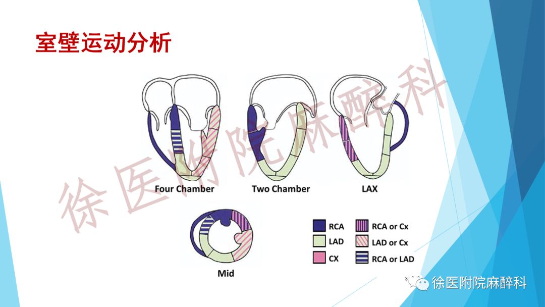 昕静 第2页