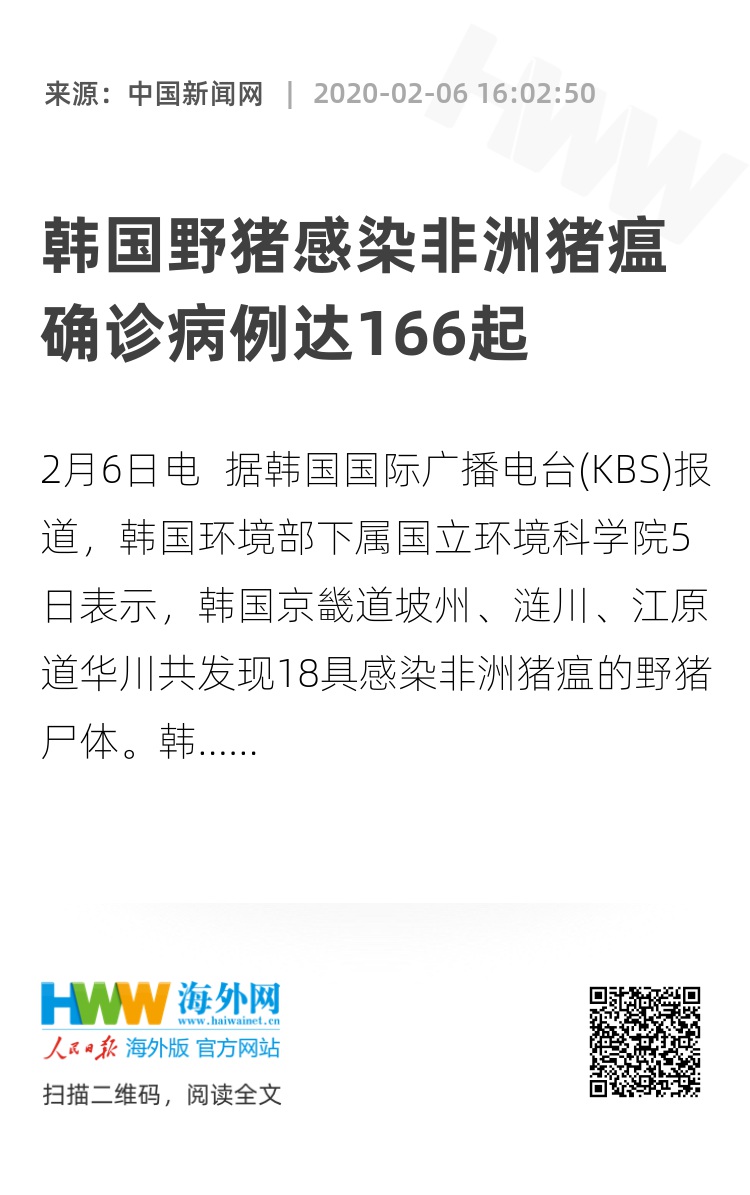 韩国最早非洲猪瘟消息揭秘，疫情及其影响深度分析